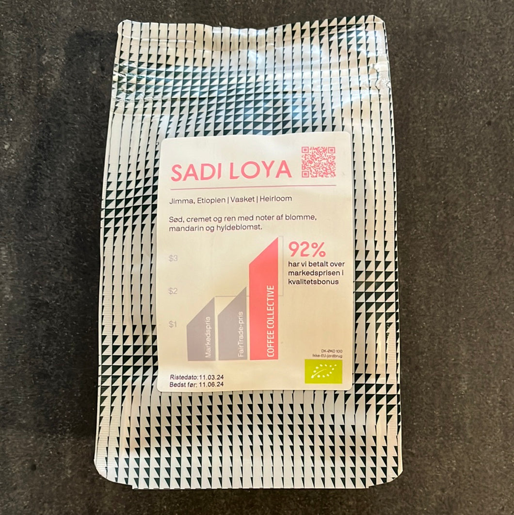 COFFEE COLLECTIVE - SADI LOYA