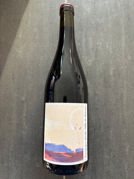 Hautes Cotes de Baune 2023 - La Chaume Des Lies