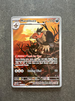 Mandibuzz – 145/086