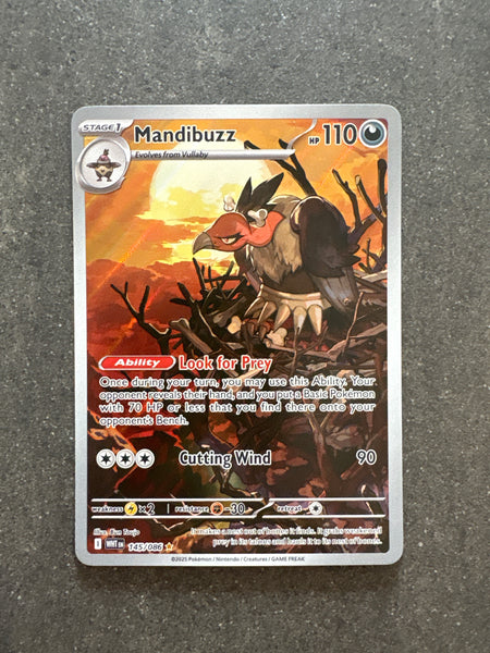 Mandibuzz – 145/086